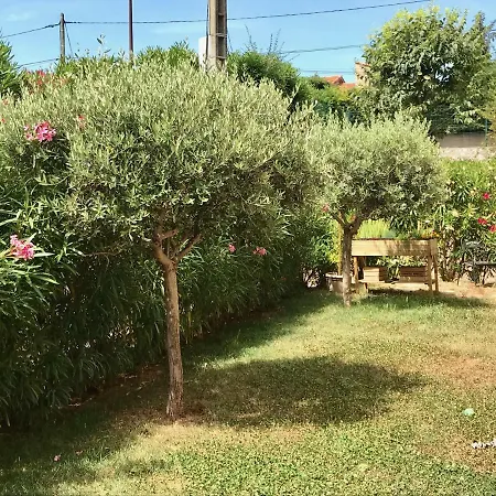 Chez Erika Appartement Antibes